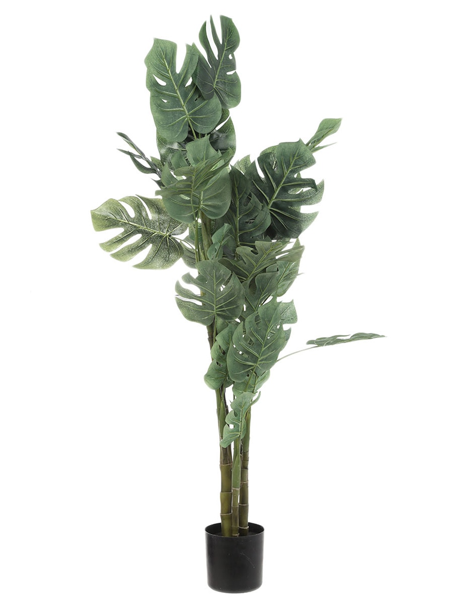 Árbol Árbol