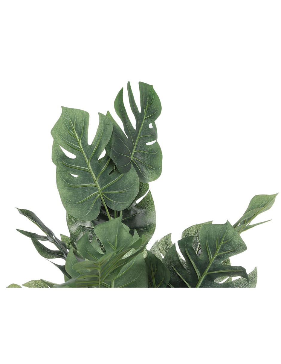 Árbol 4