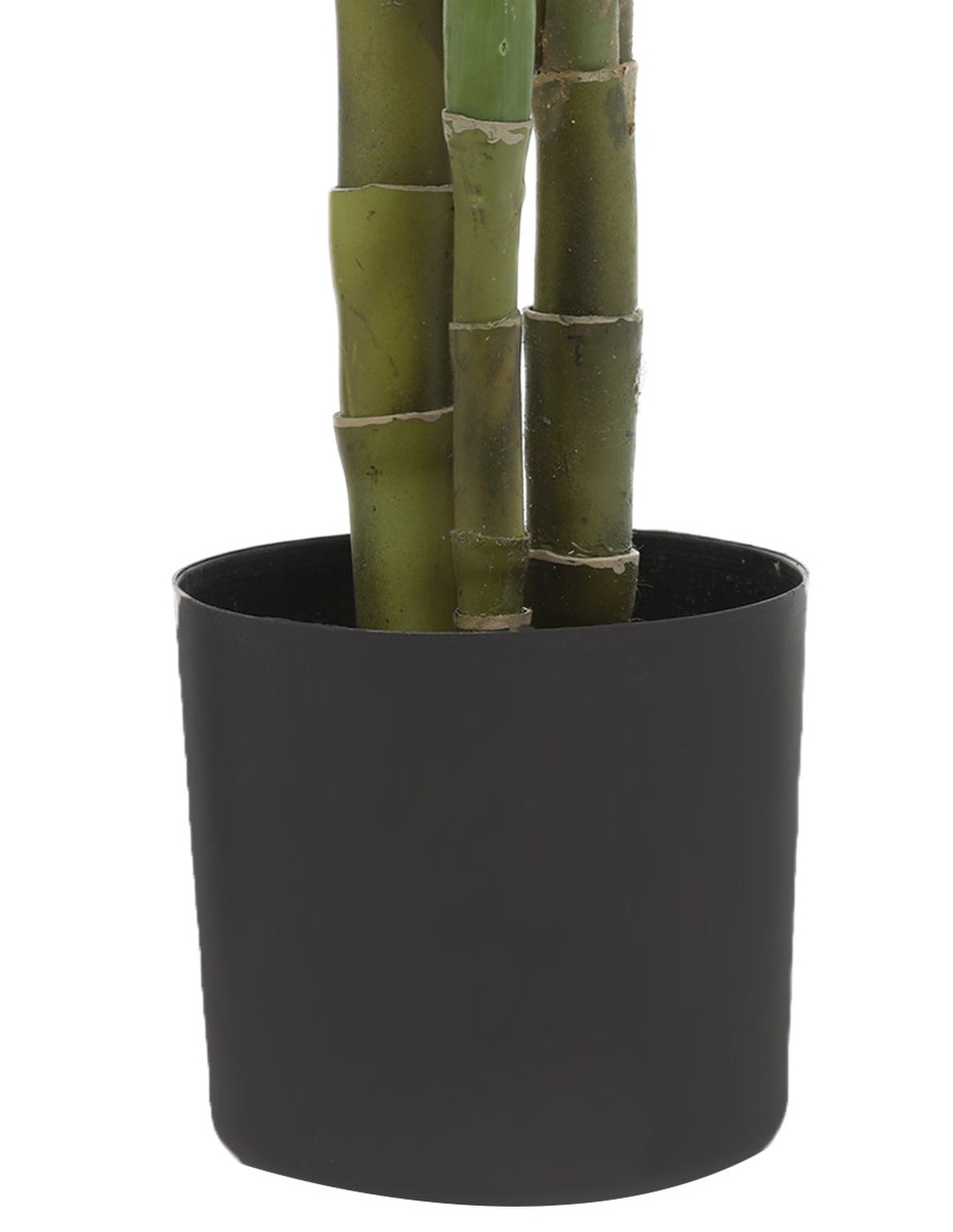 Árbol 3