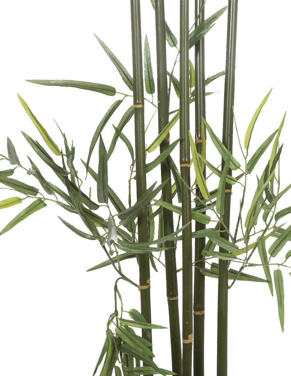 Árbol bambu 4