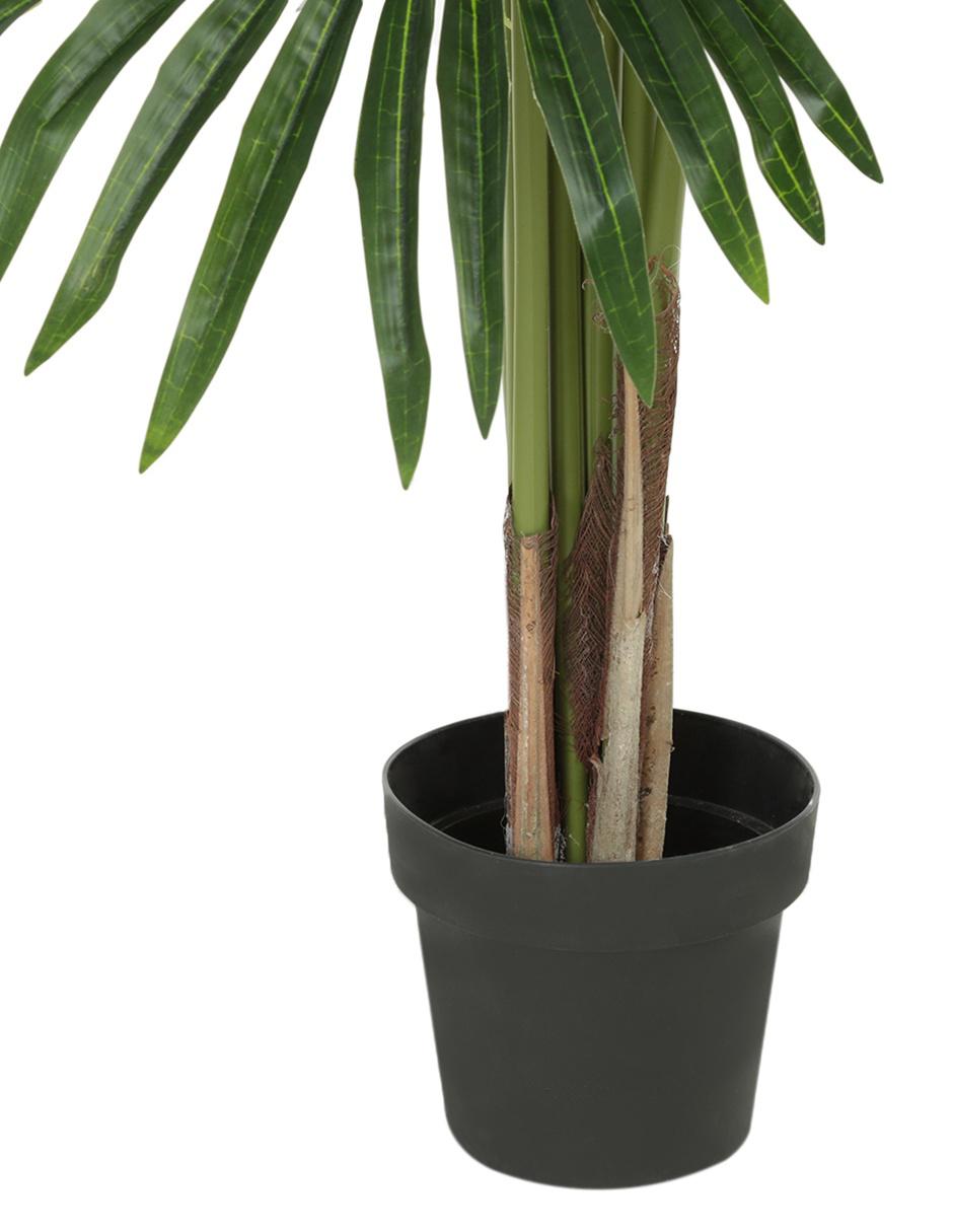 Árbol 2