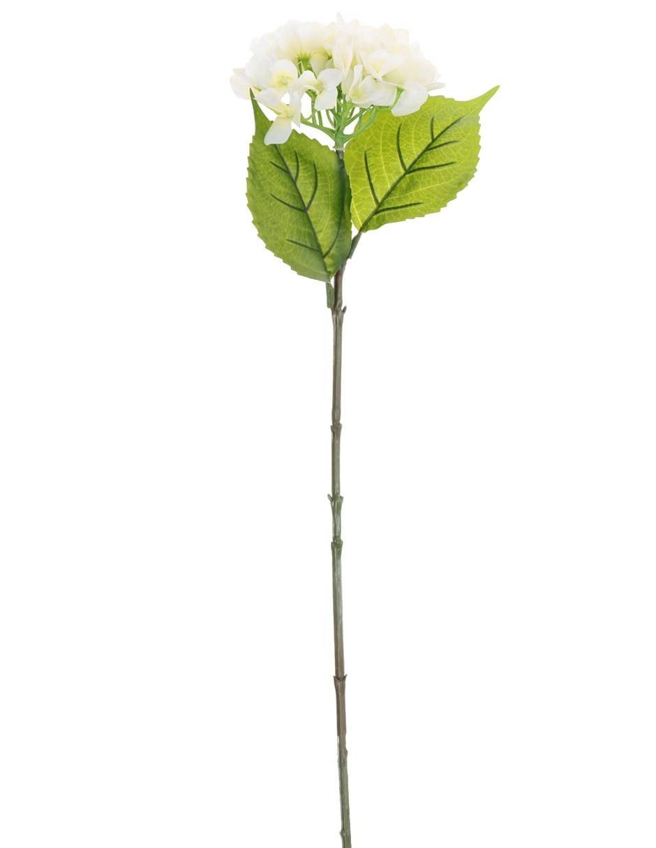 Flor de hortensia Copo 1