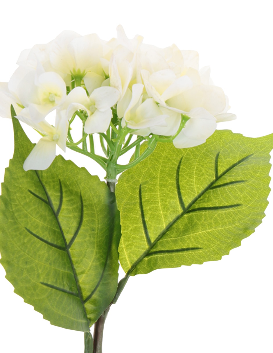 Flor de hortensia Copo 2