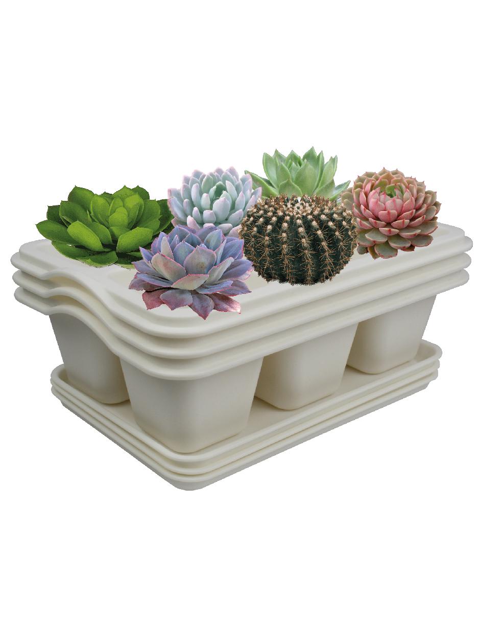 Set maceta con sistema automático de riego 3