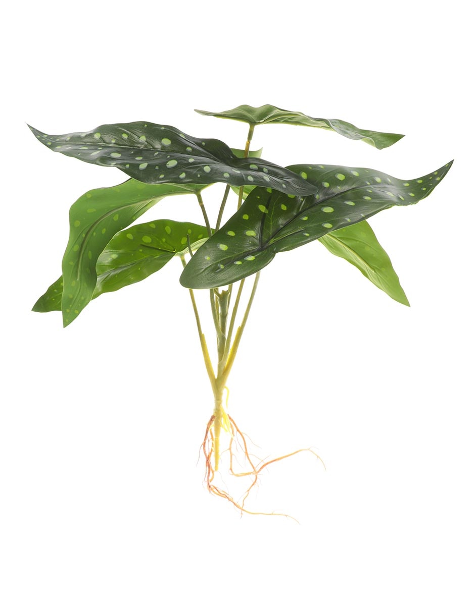 Planta colgante photos artificial
