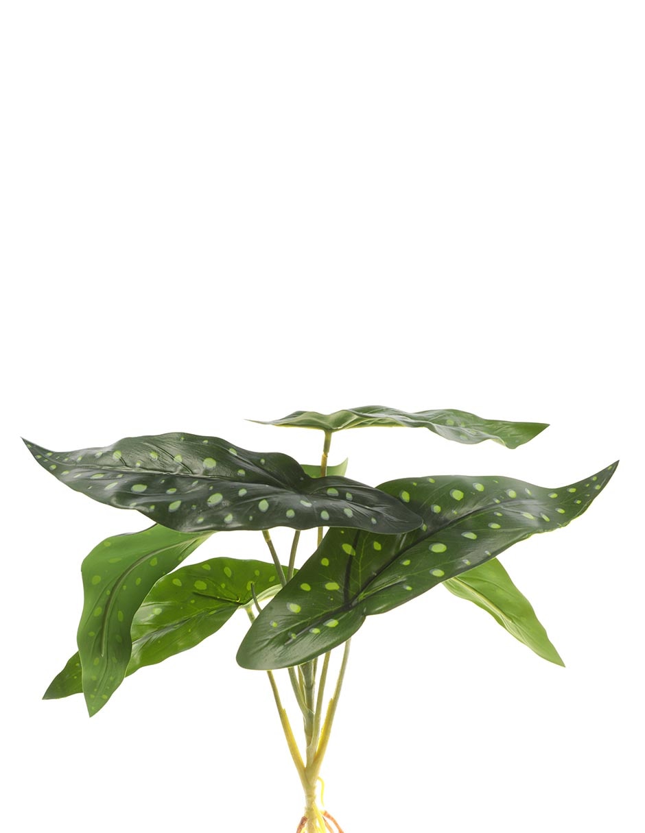 Planta colgante photos artificial