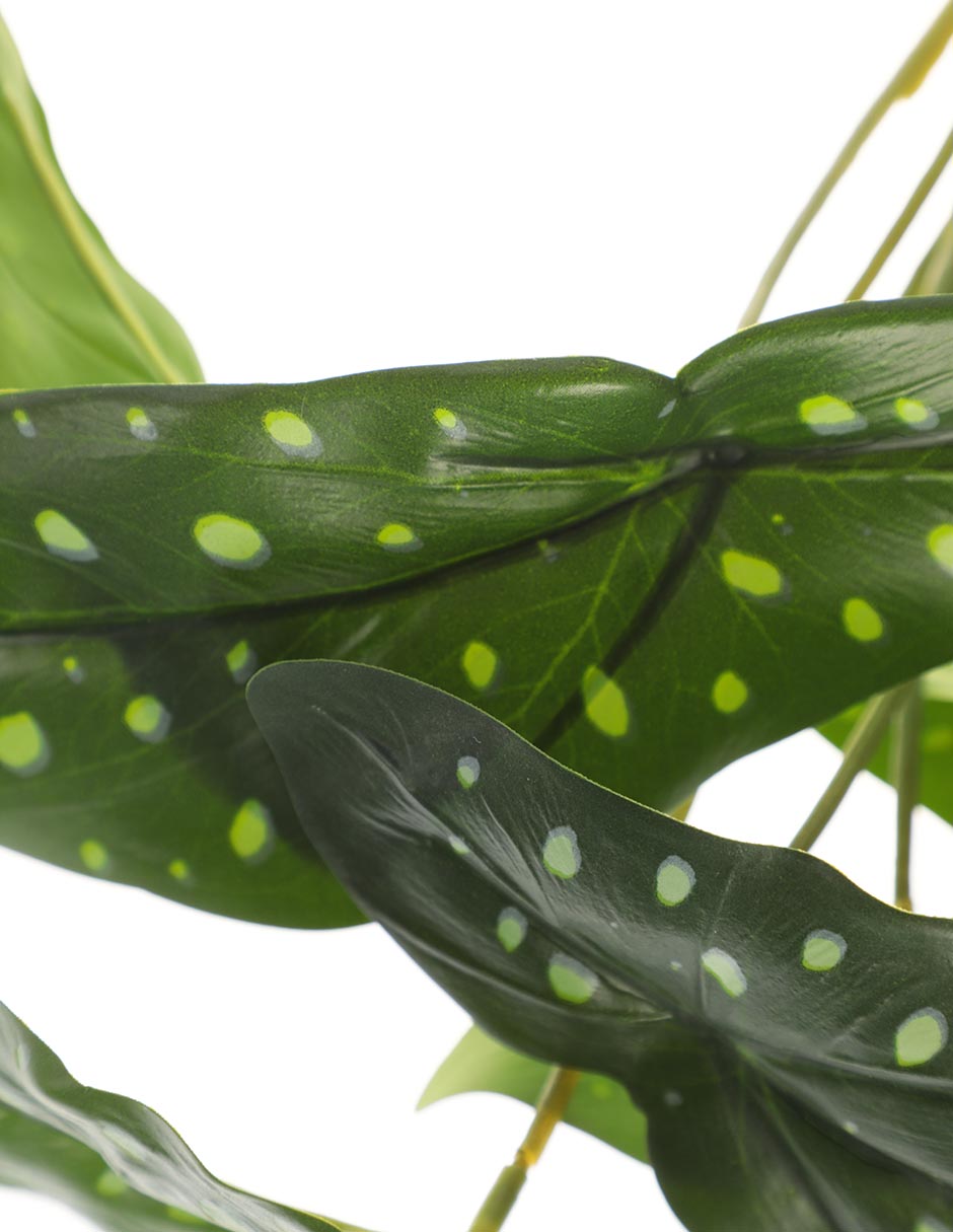 Planta colgante photos artificial