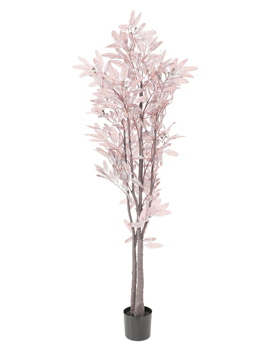 Árbol eucalipto 165 cm con maceta Árbol eucalipto 165 cm con maceta