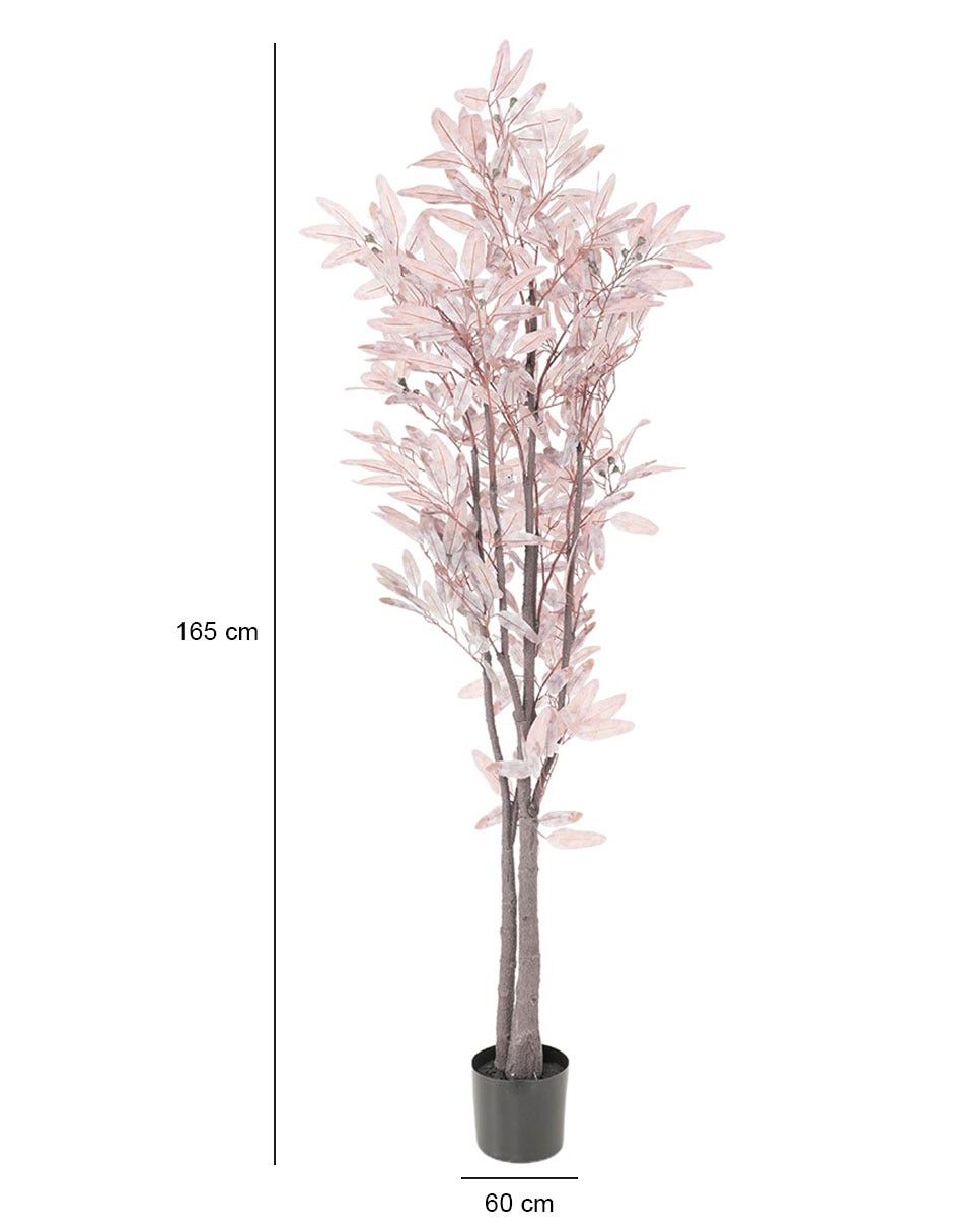 Árbol eucalipto 165 cm con maceta 4