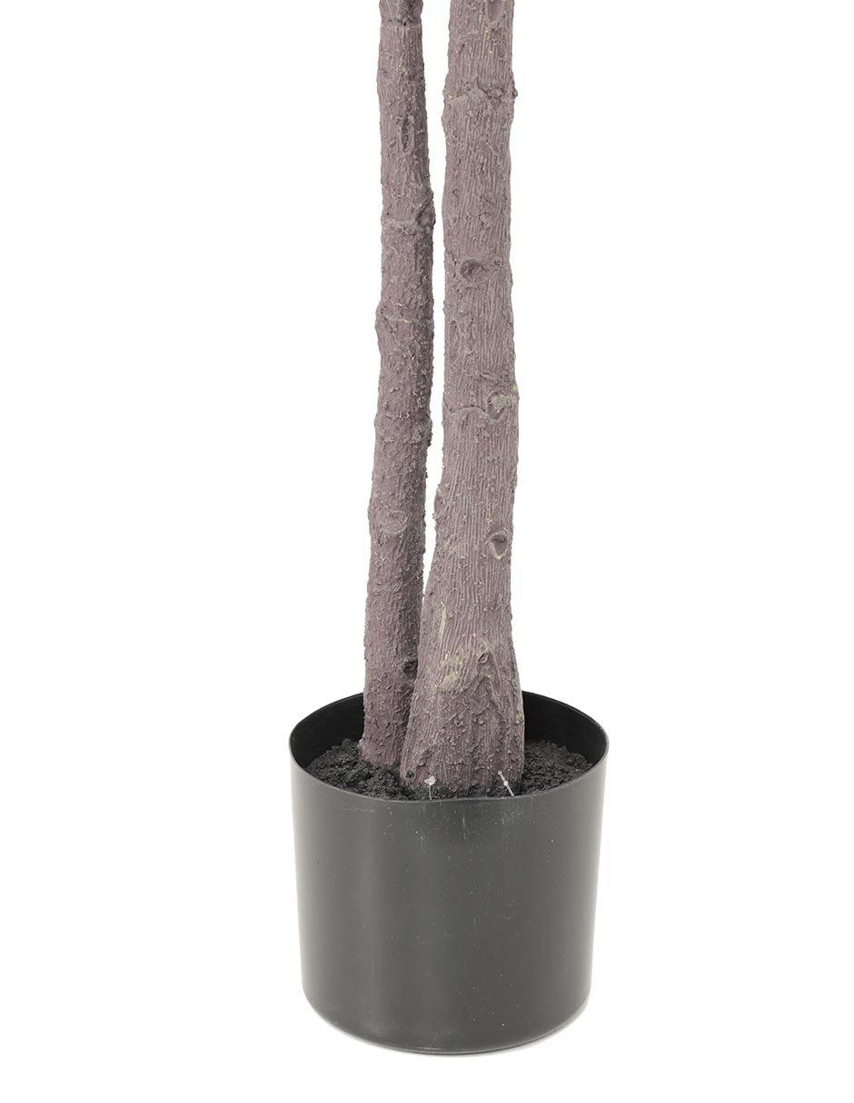 Árbol eucalipto 165 cm con maceta 3
