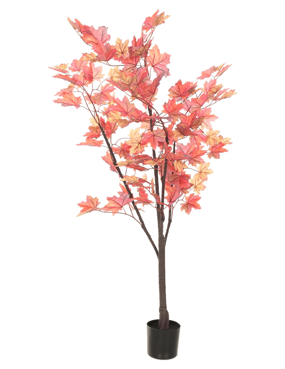 Árbol Árbol