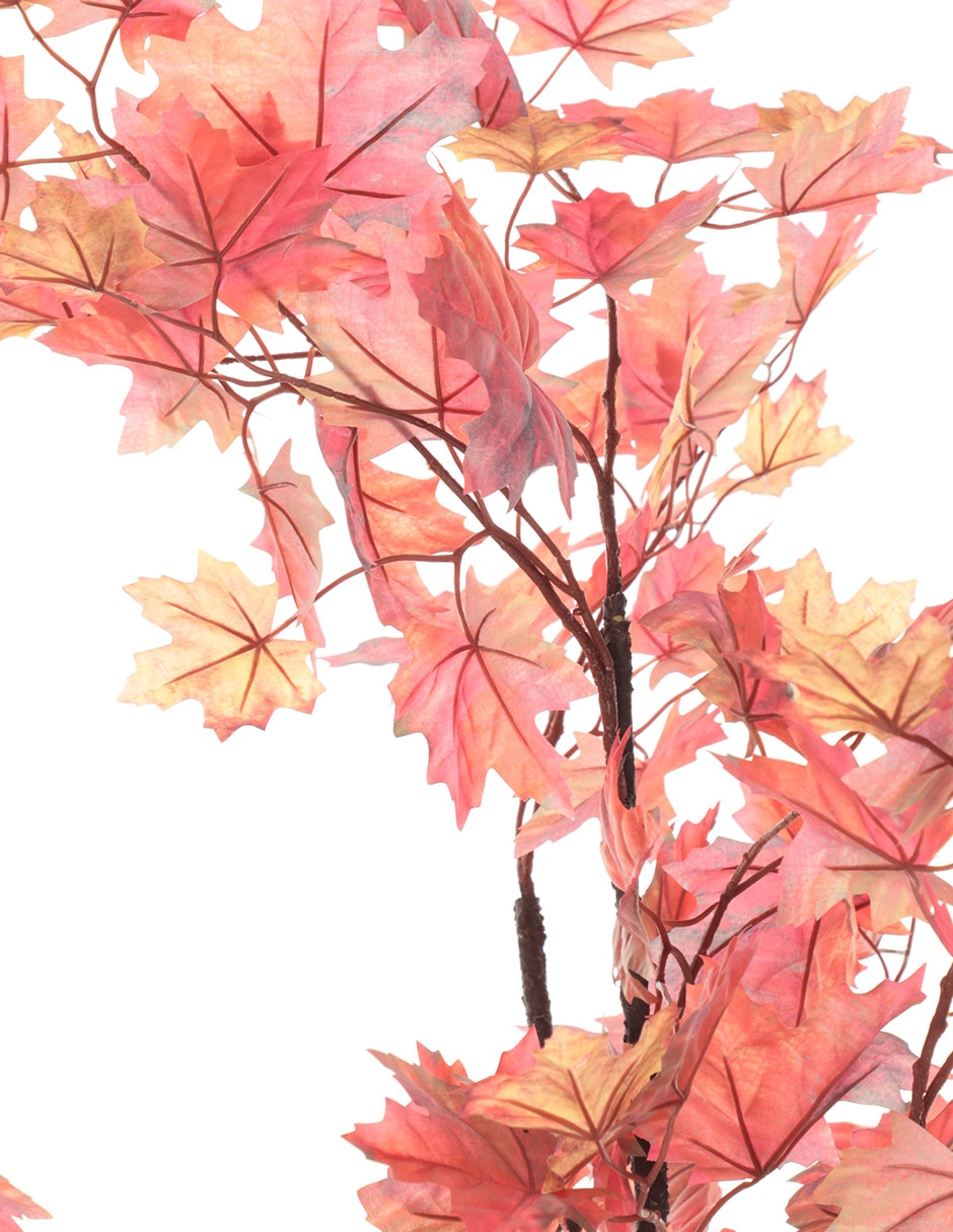Árbol
