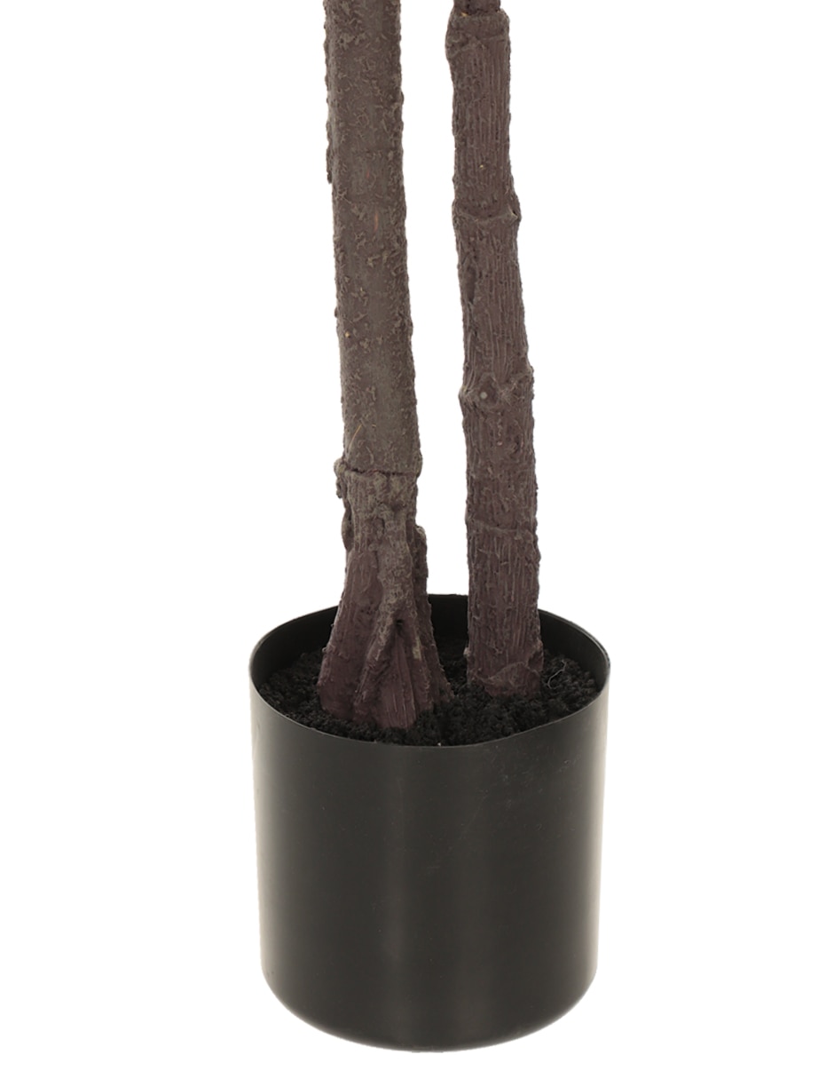 Árbol