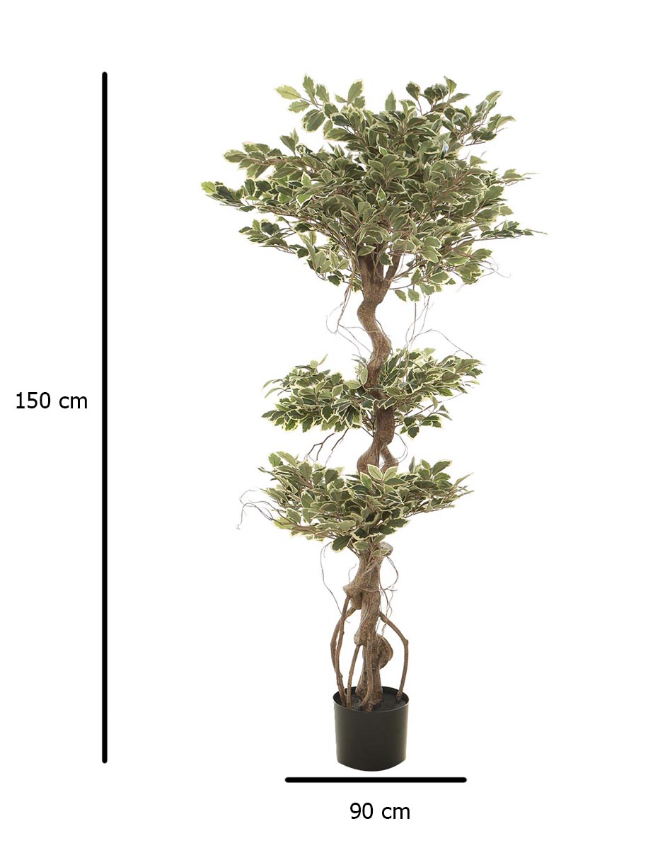 Árbol