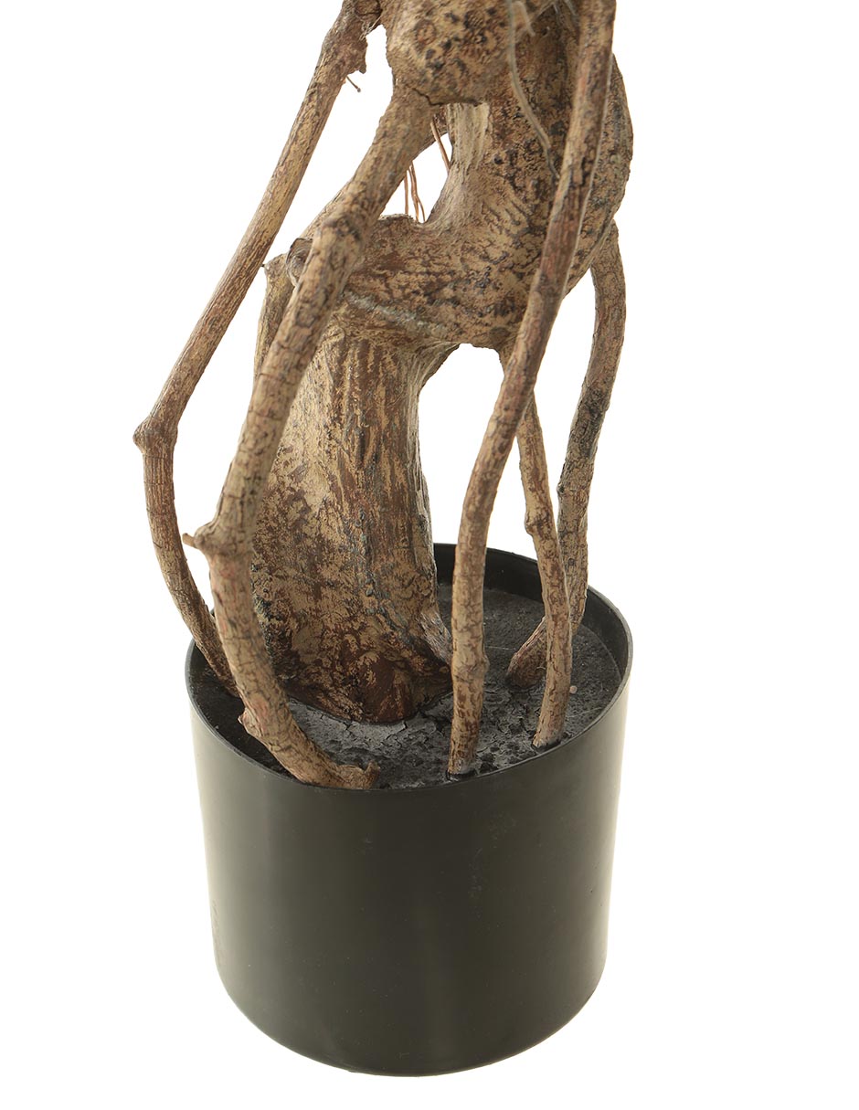 Árbol