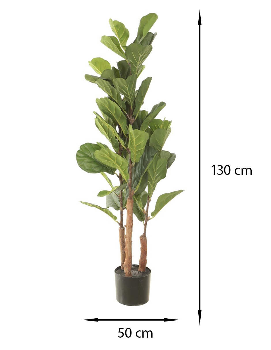 Árbol