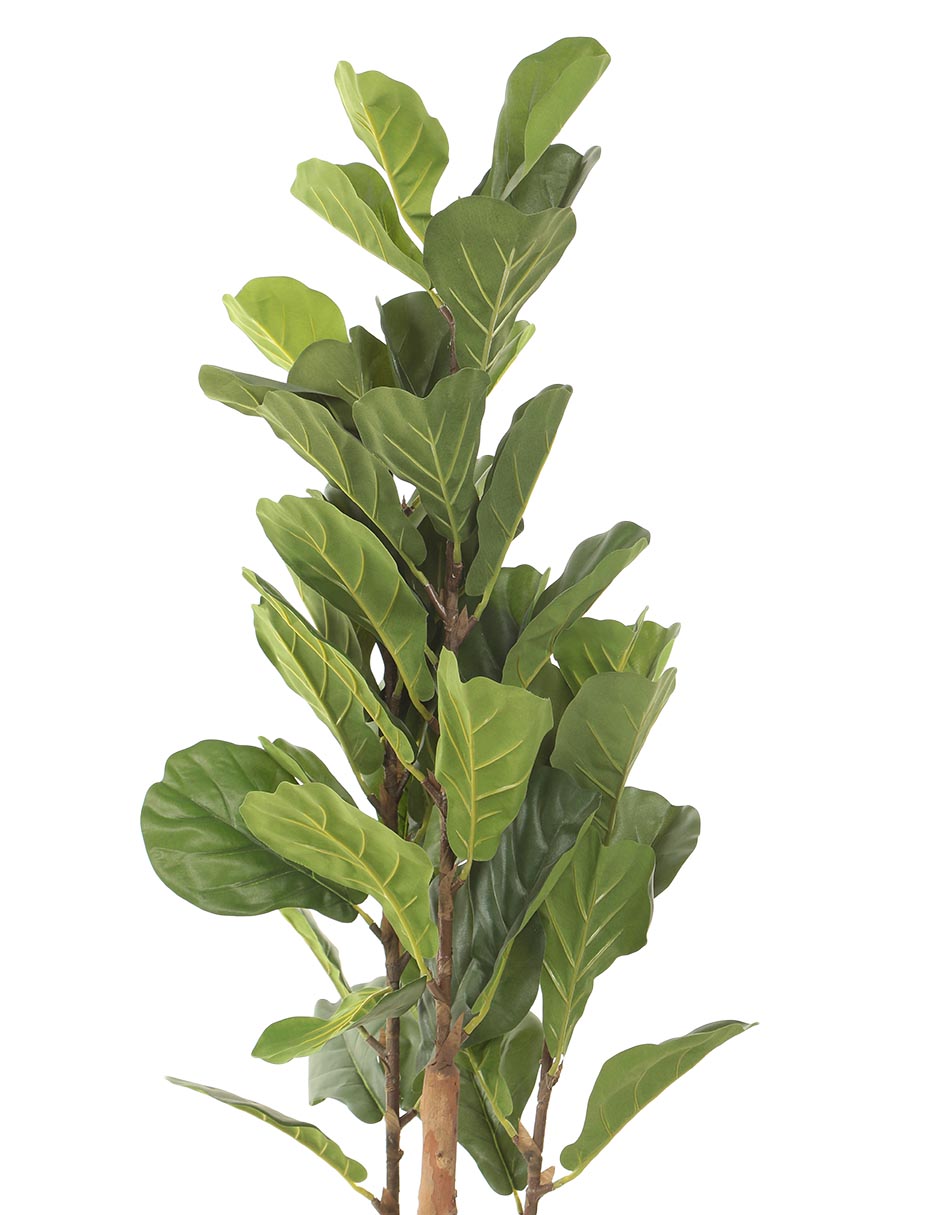 Árbol