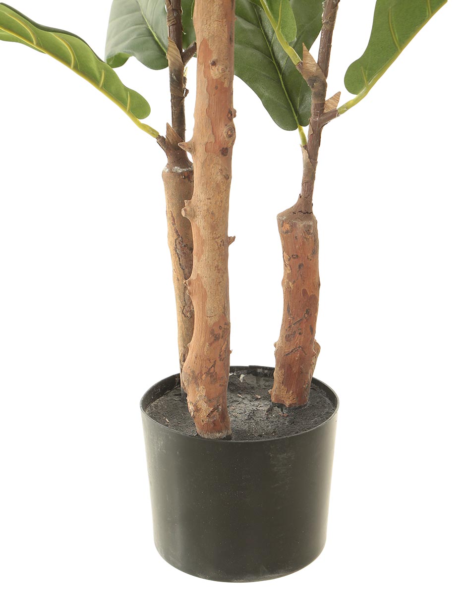 Árbol