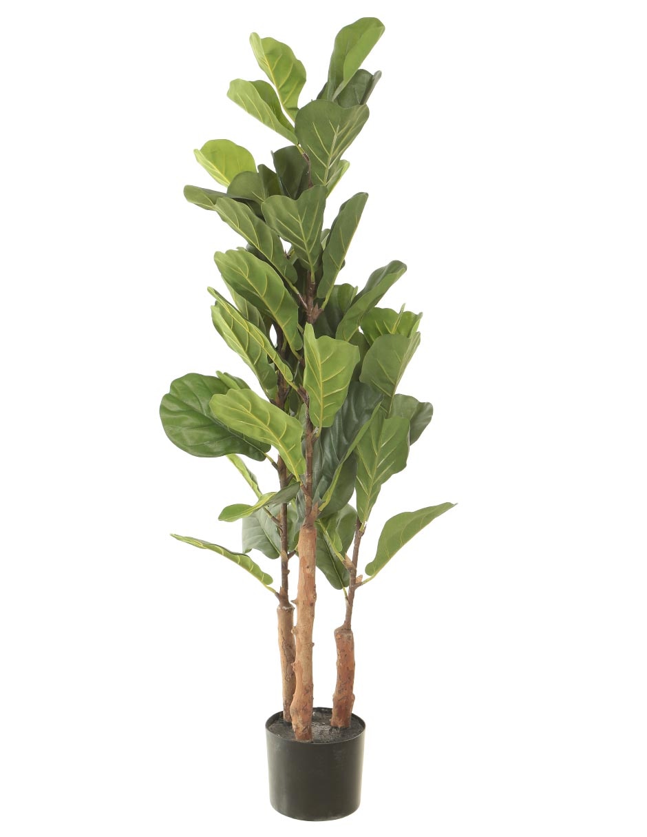 Árbol