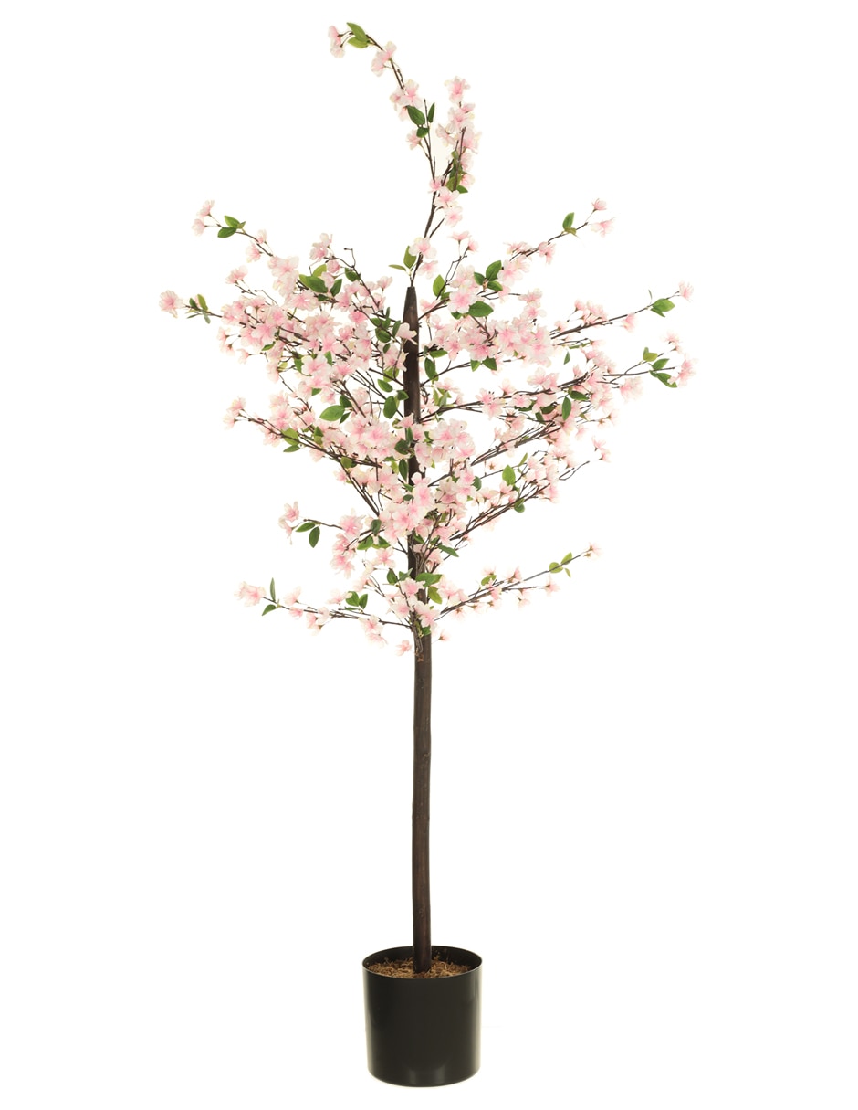 Árbol