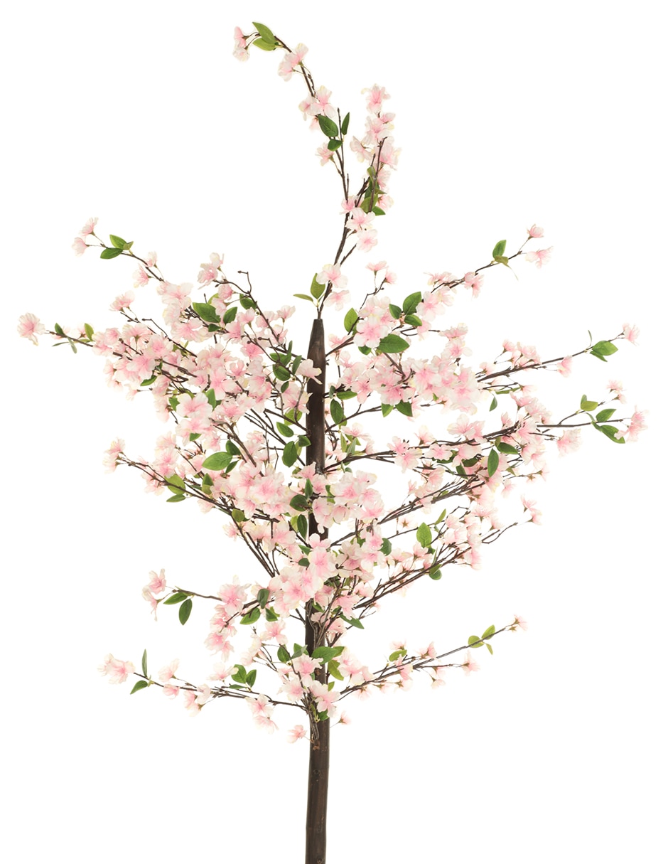 Árbol