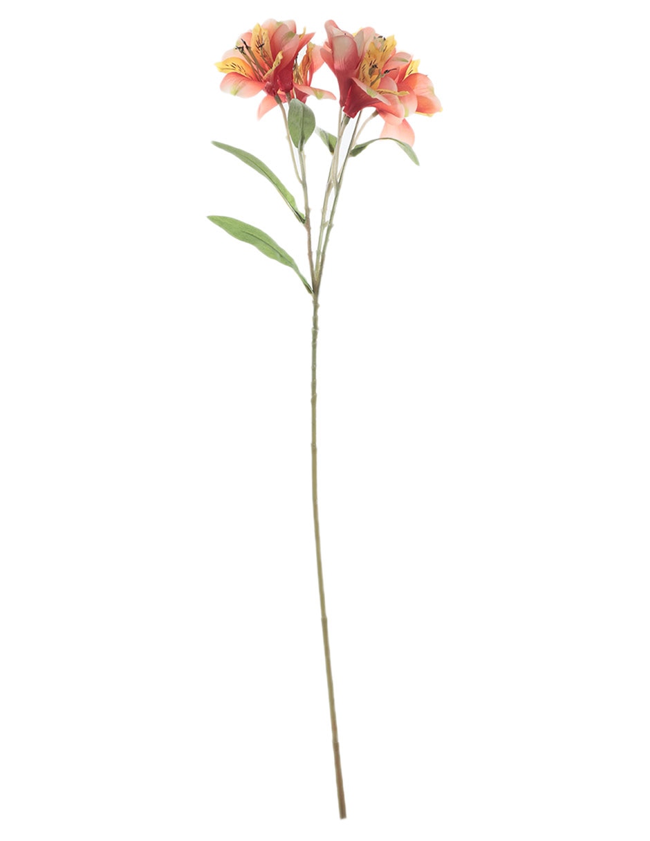 Alstromeria