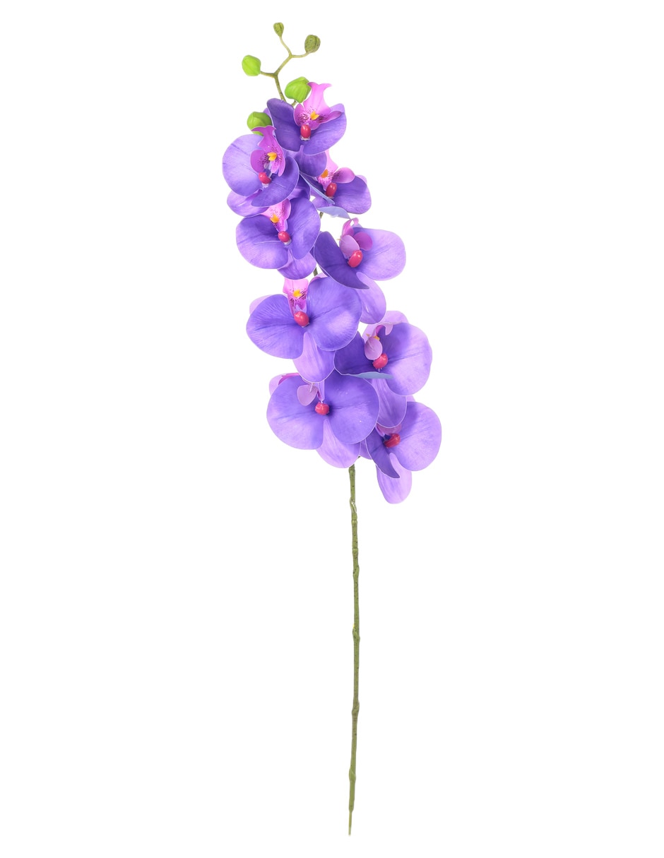 Flor de orquídea