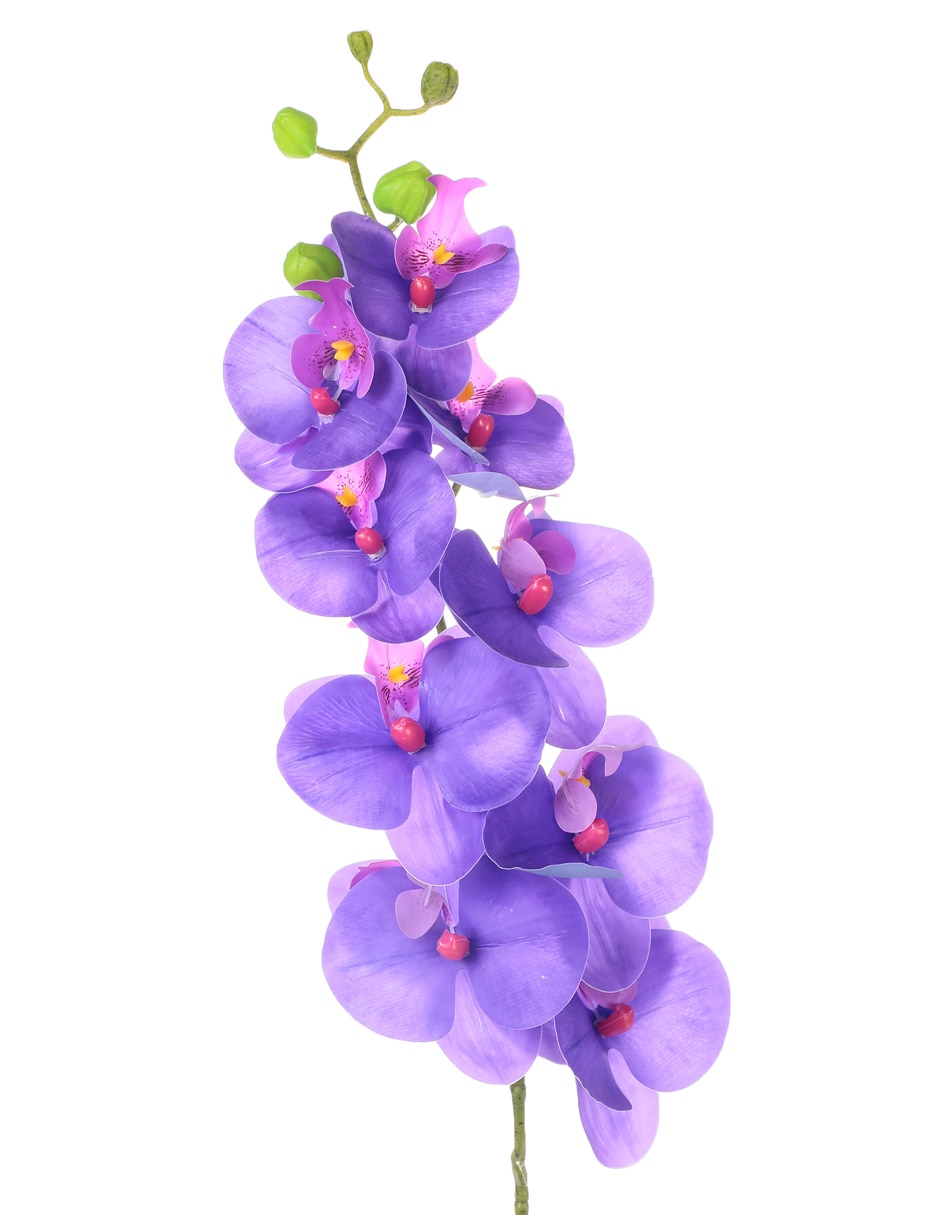 Flor de orquídea 2