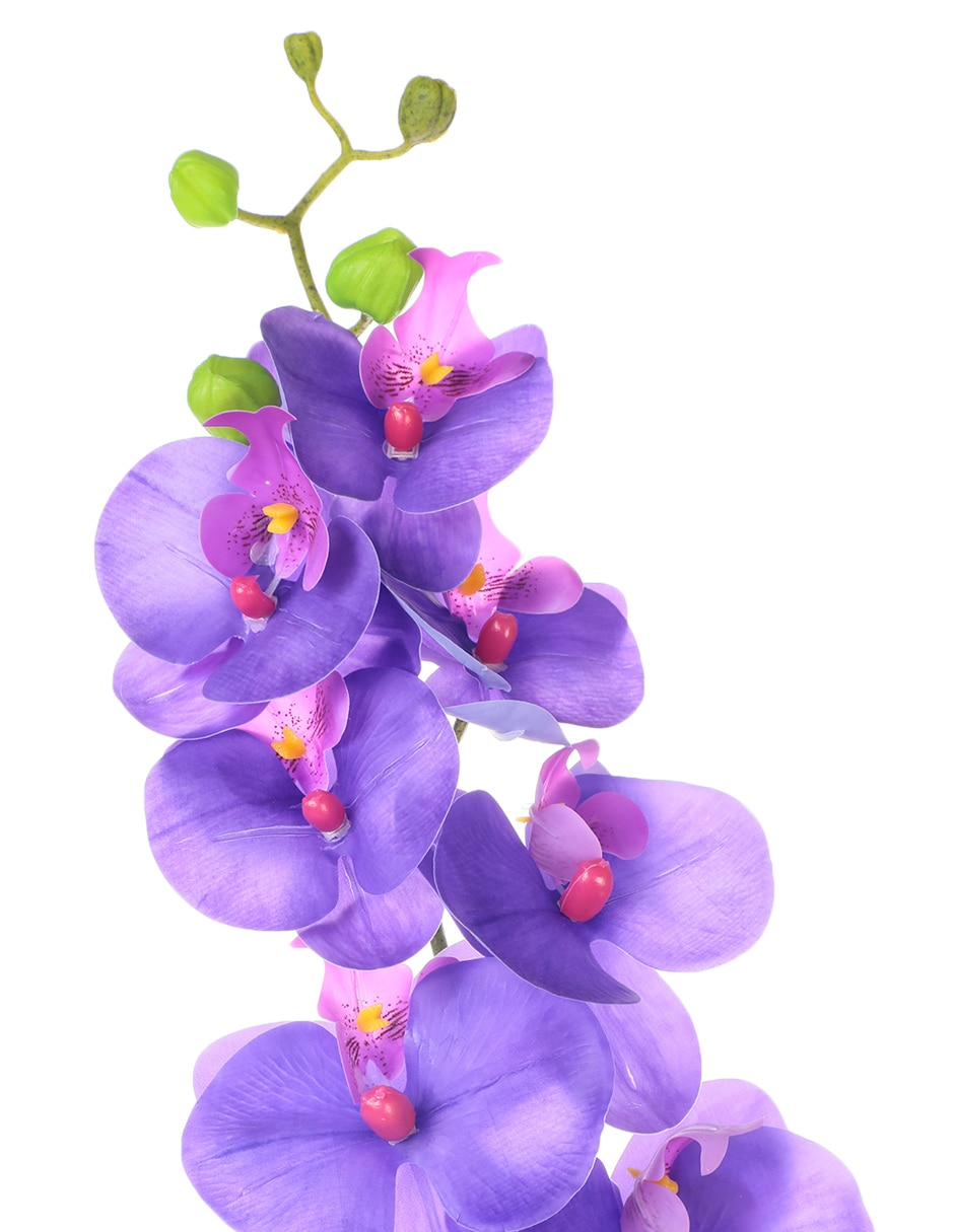 Flor de orquídea 3