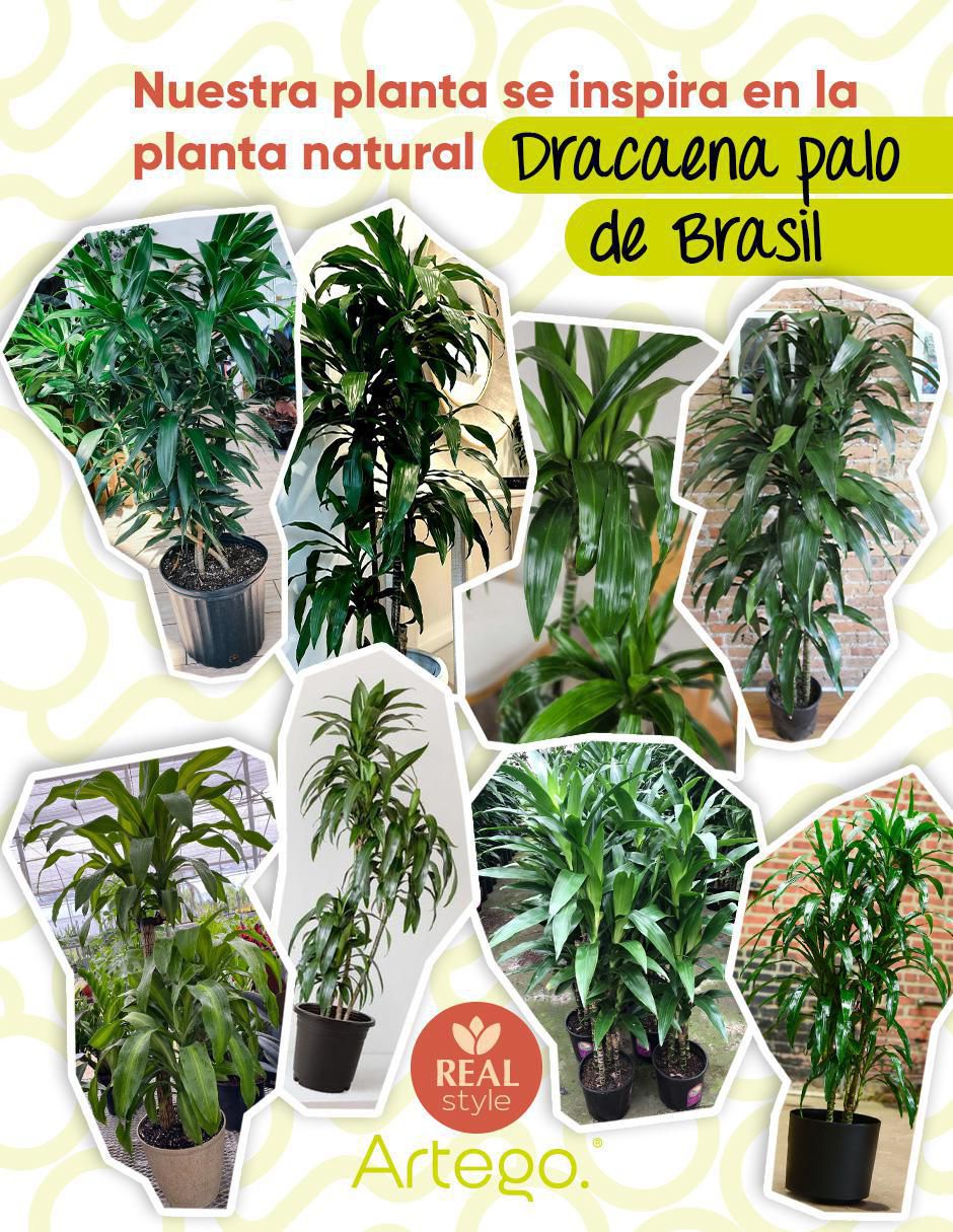 Palo de brasil artificial Artego