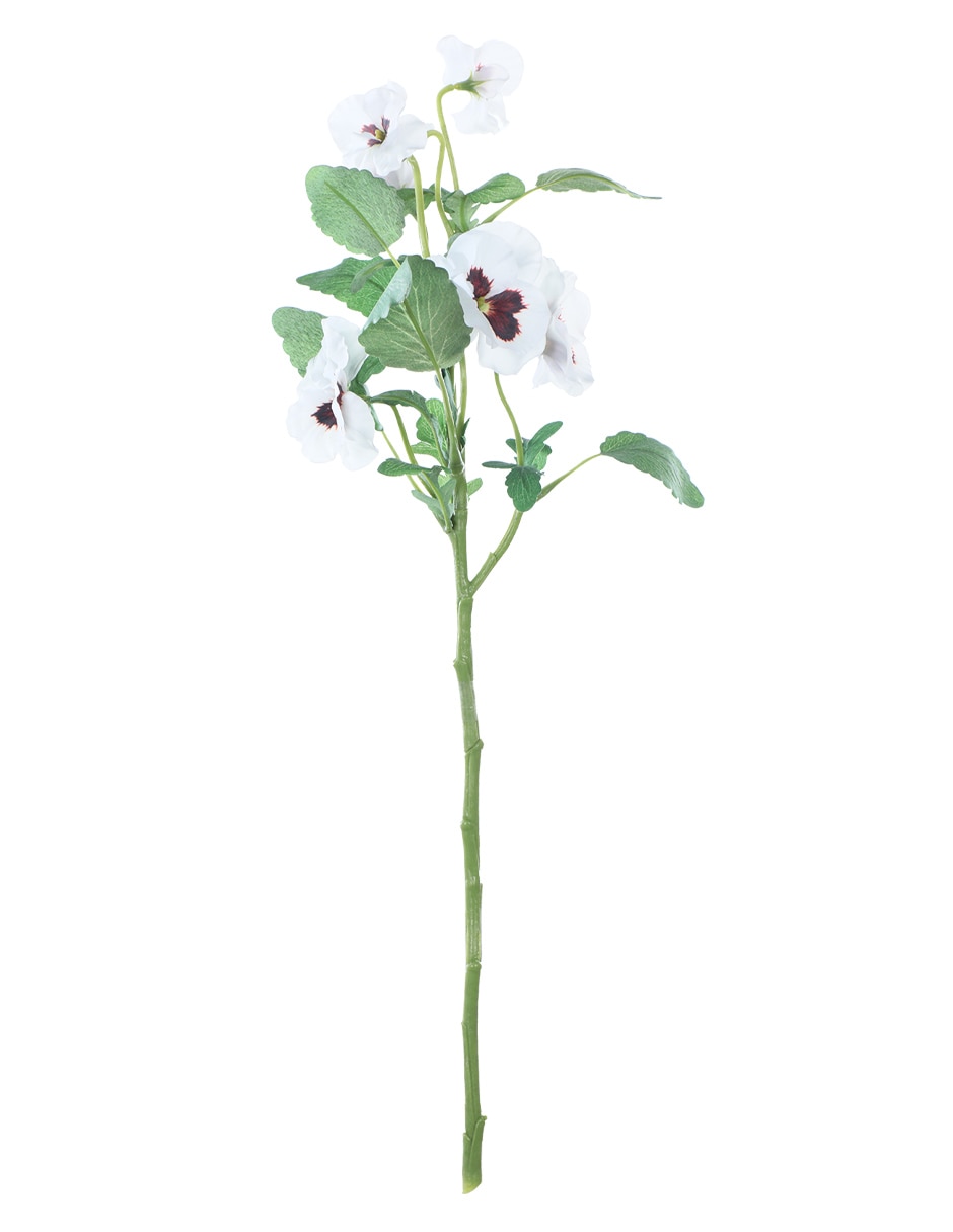 Rama de pansy 1