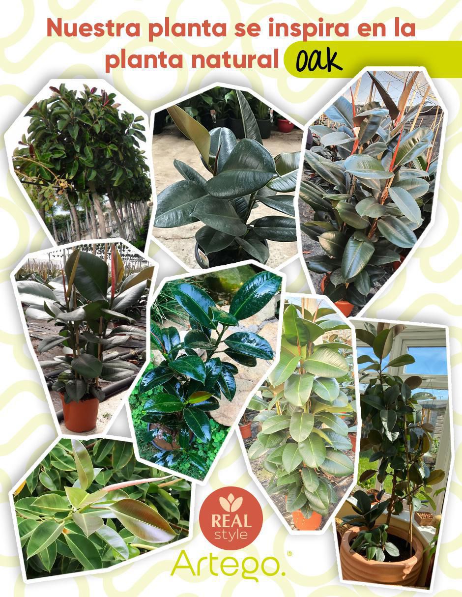 Ficus artificial con maceta 3