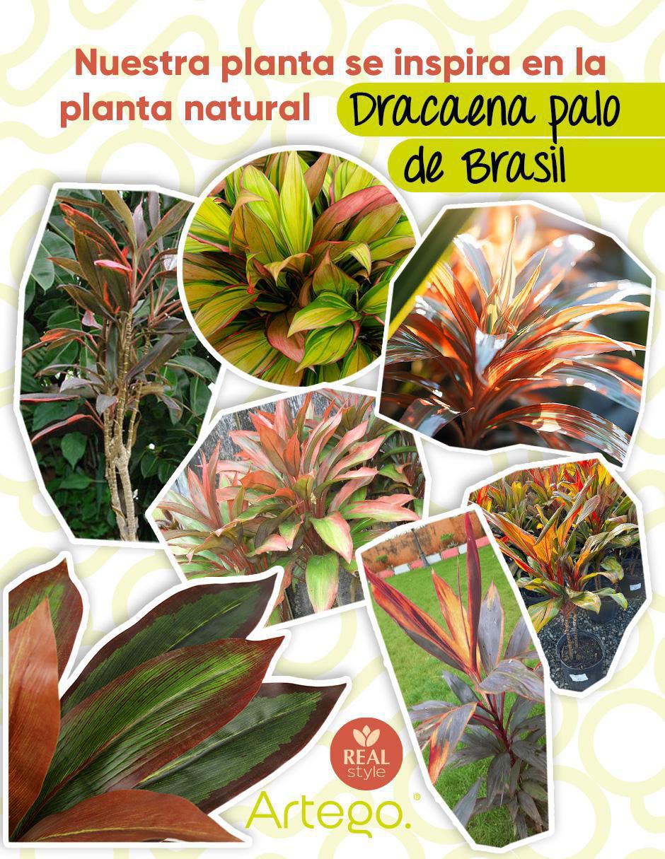 Palo de brasil artificial 3