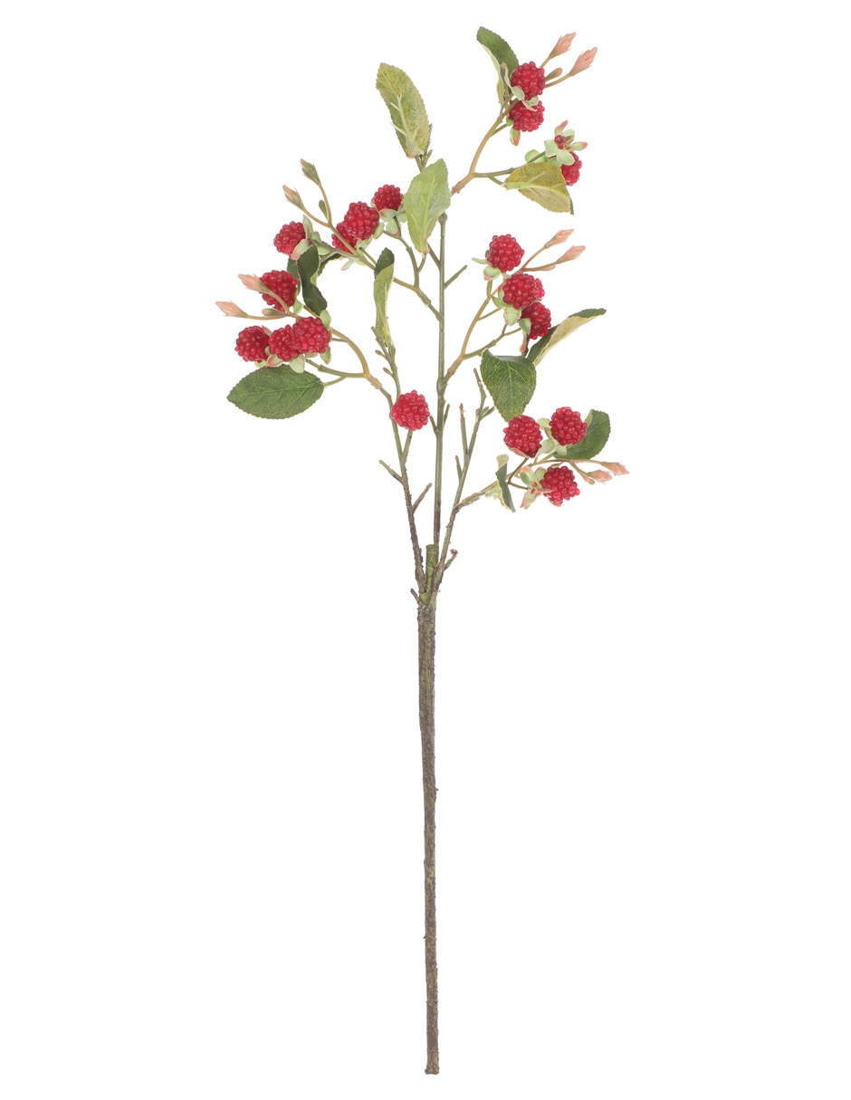 Berries decorativa