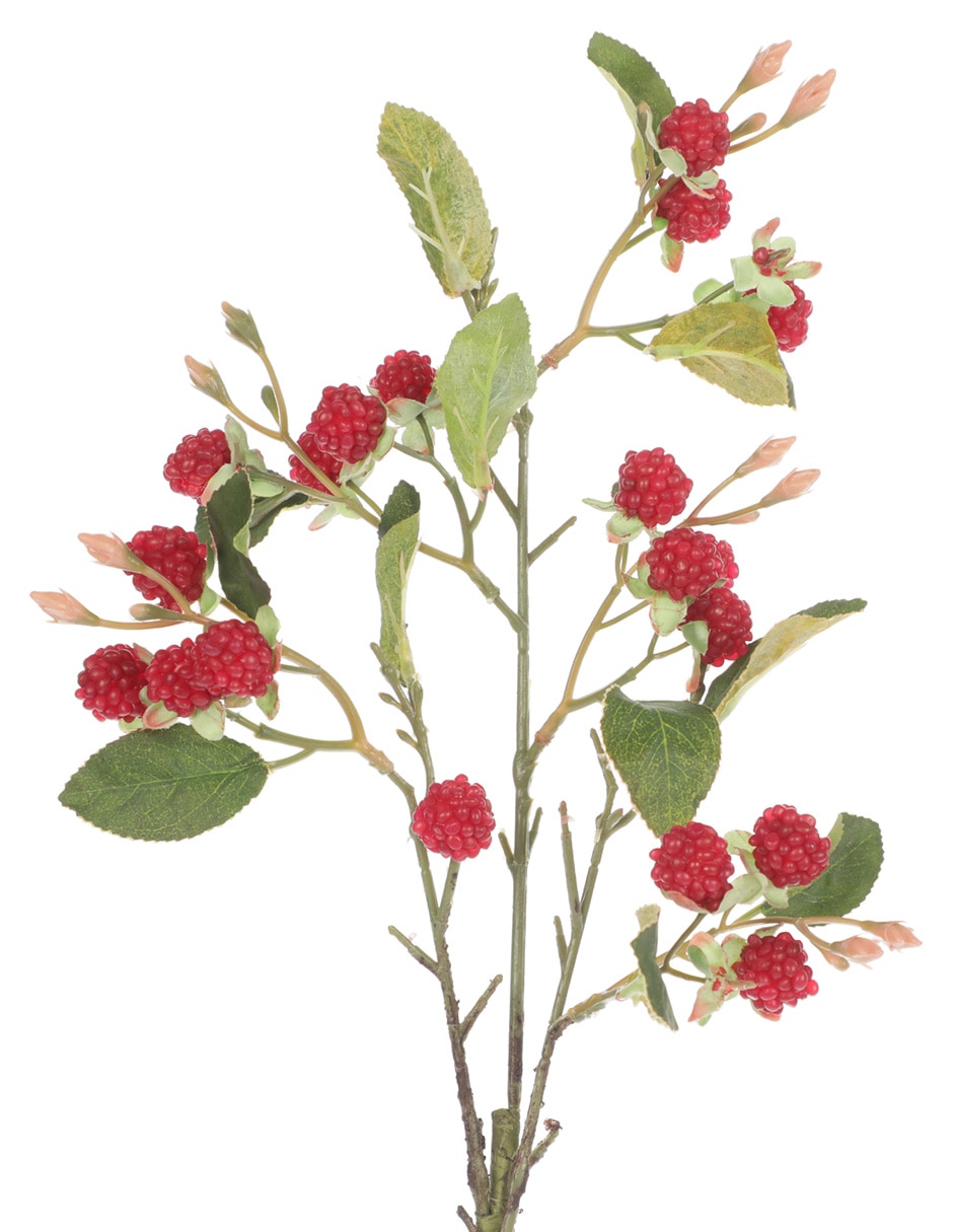 Berries decorativa