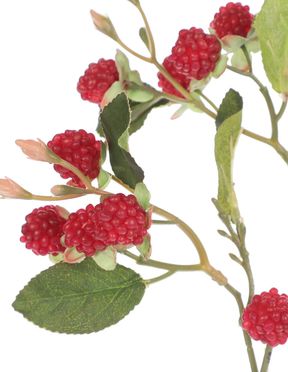 Berries decorativa