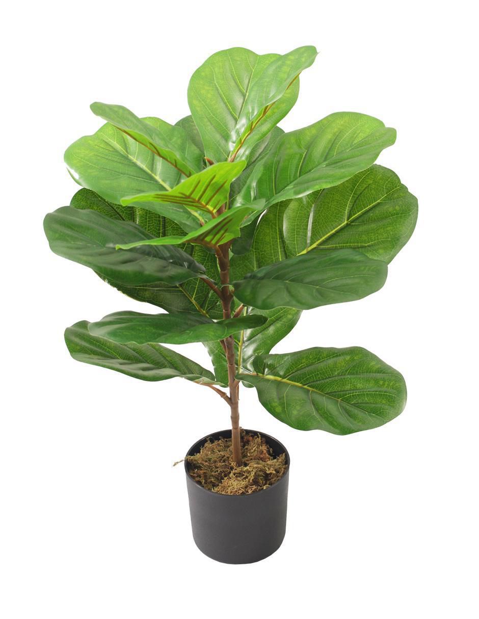 Ficus artificial Pandurata Ficus artificial Pandurata