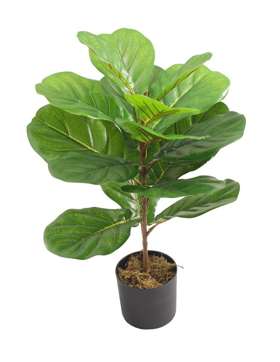 Ficus artificial Pandurata 2