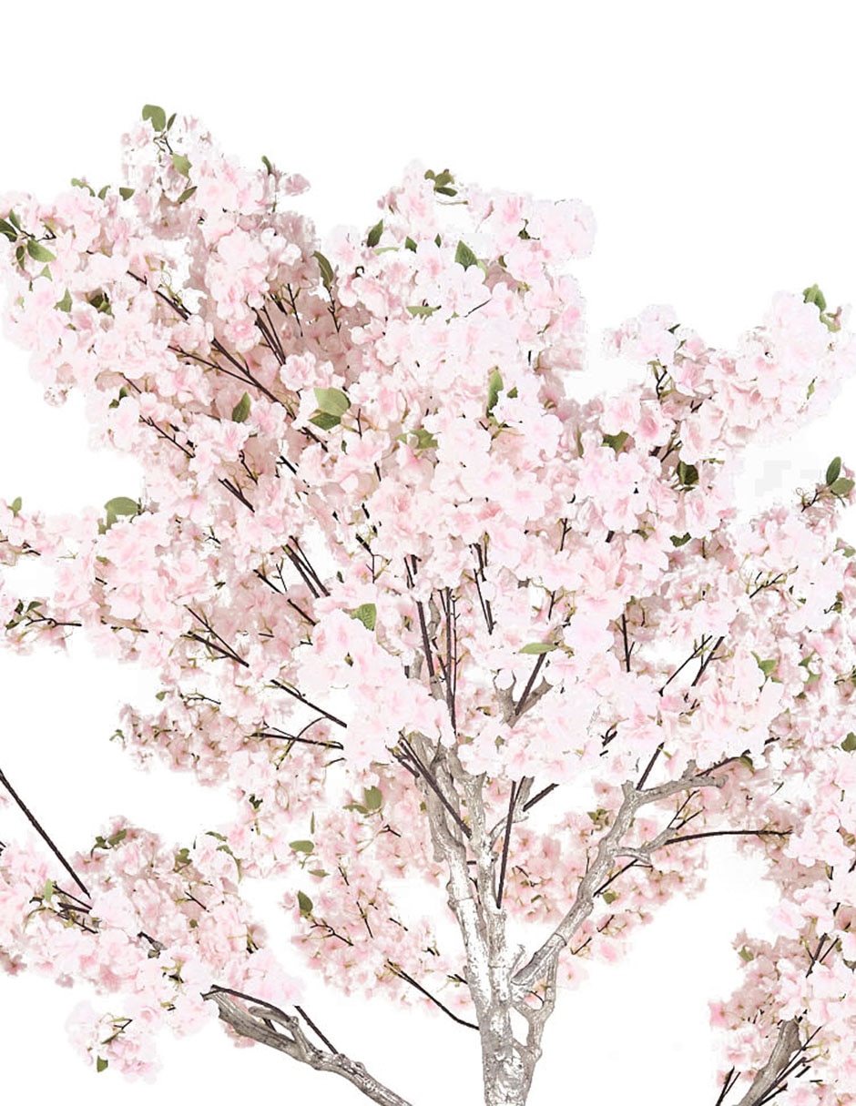 Árbol