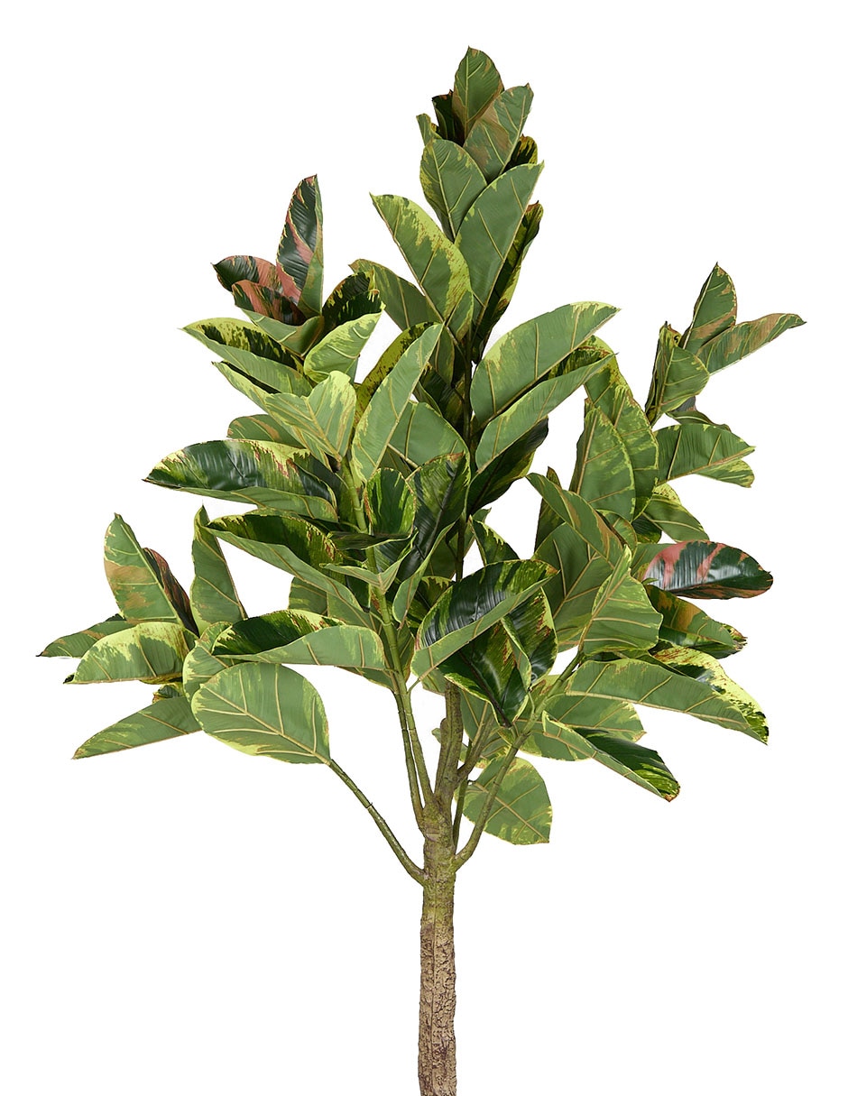 Árbol