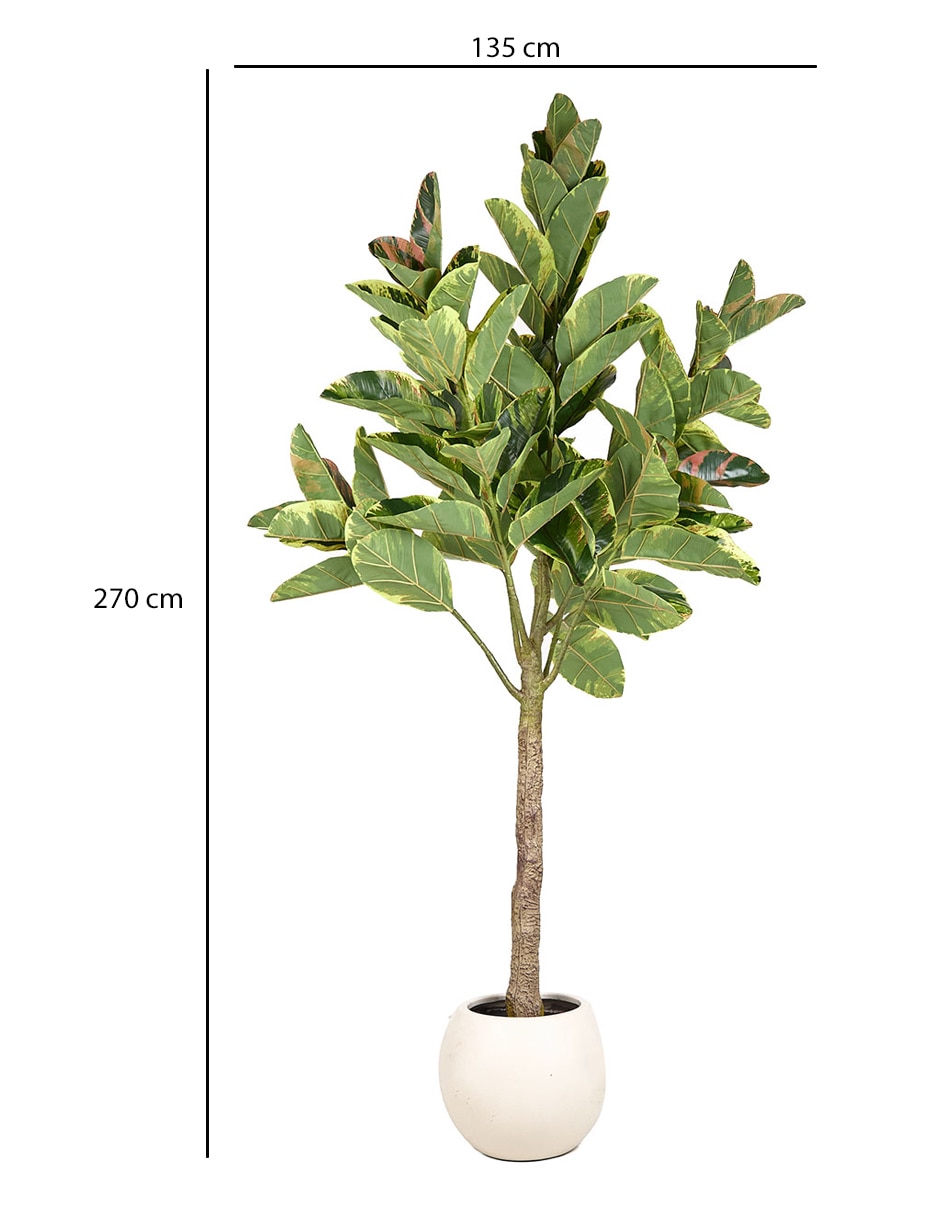 Árbol 5