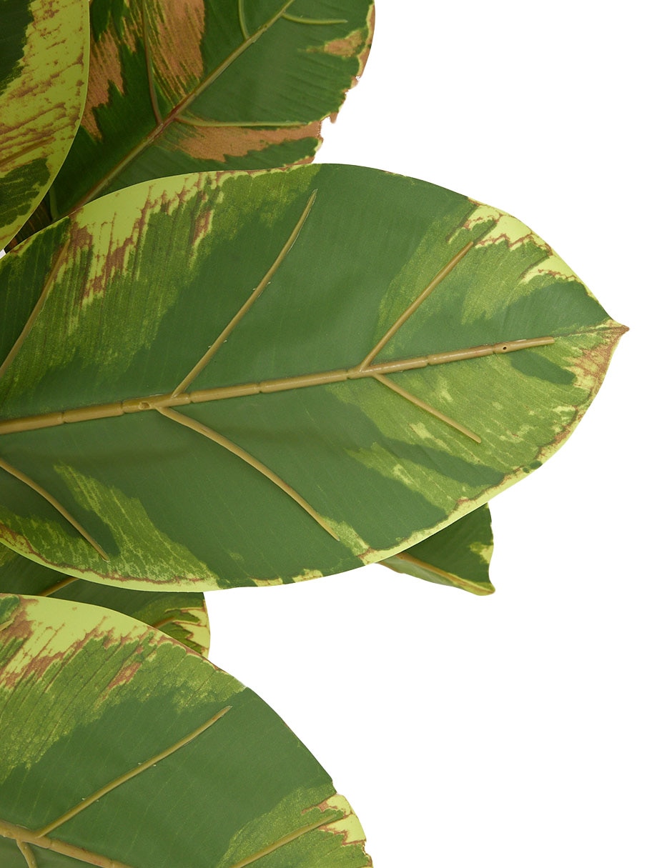 Árbol
