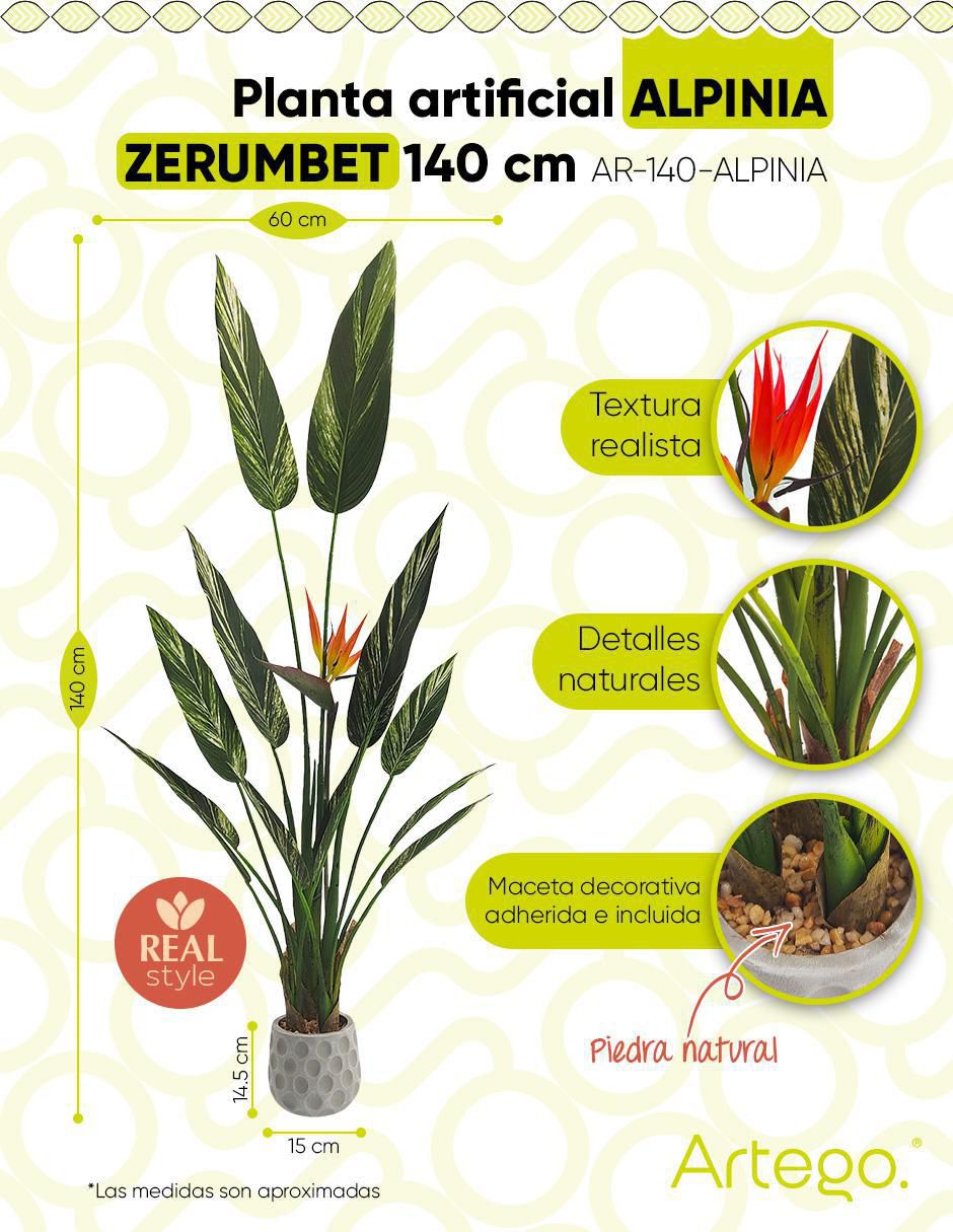 Alpinia Zerumbet artificial 9