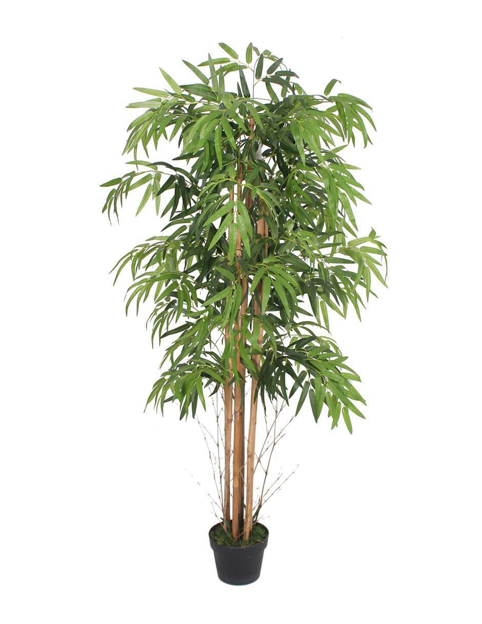 Bambú artificial Vanlig
