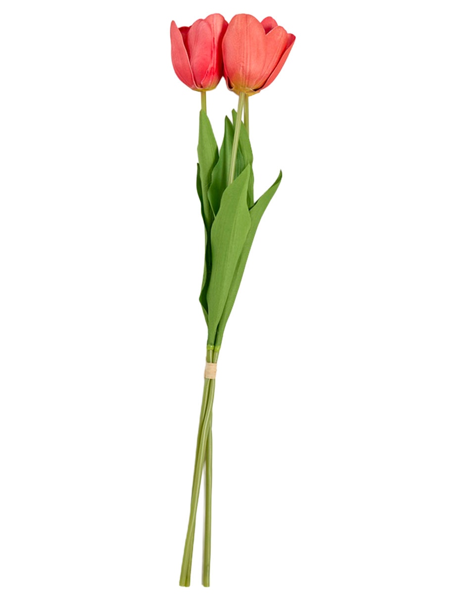 Ramo de tulipán