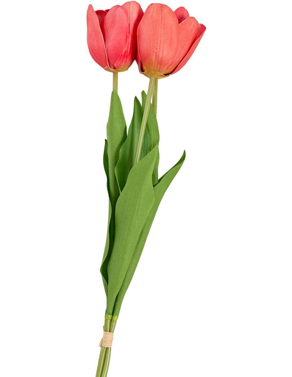 Ramo de tulipán