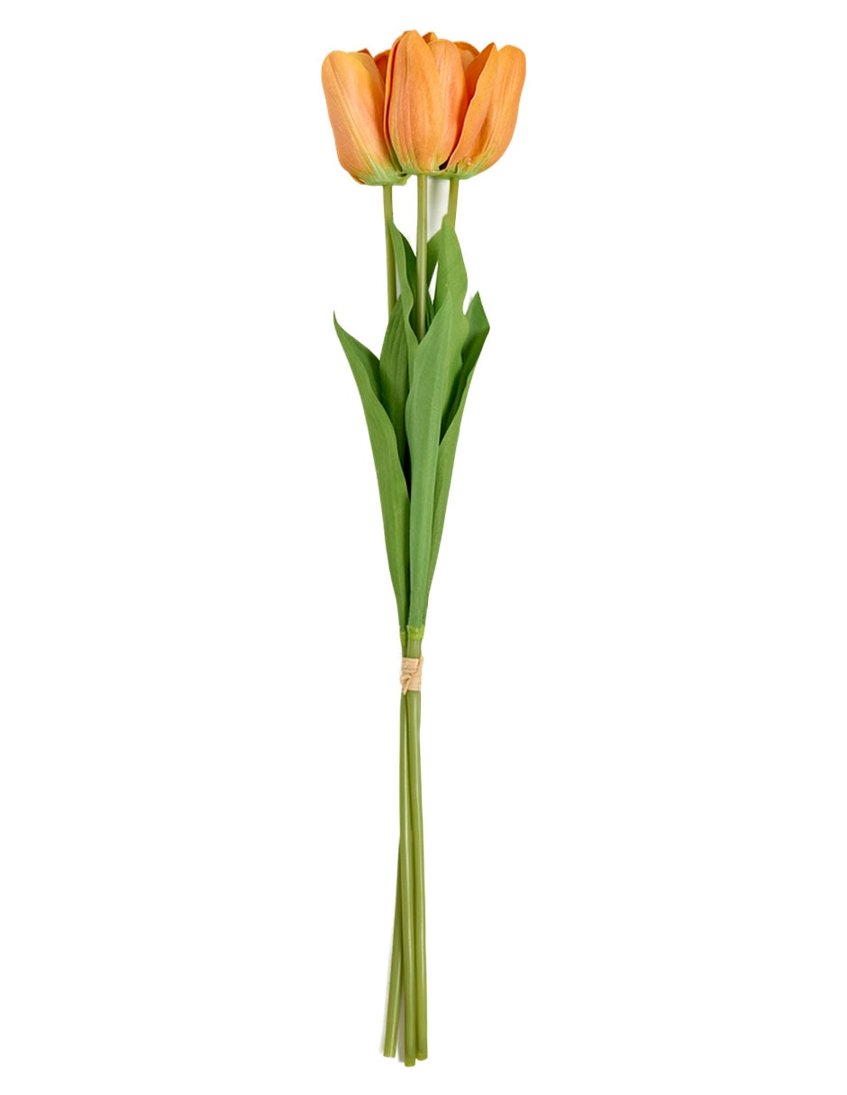 Ramo de tulipán
