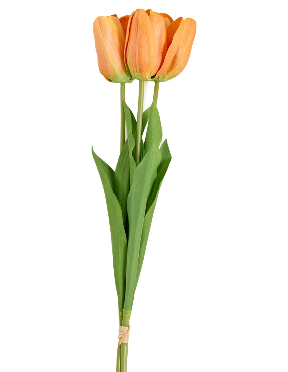Ramo de tulipán