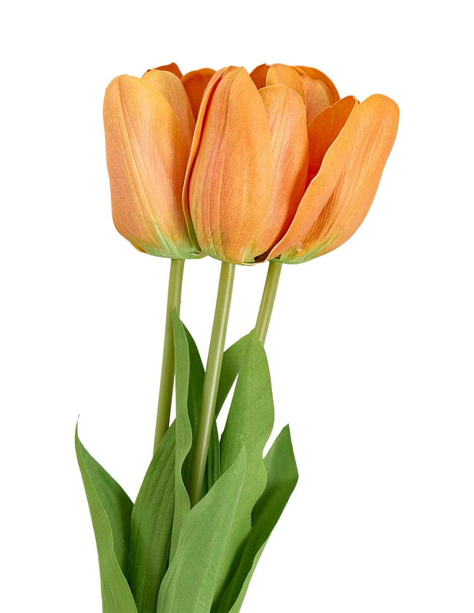 Ramo de tulipán