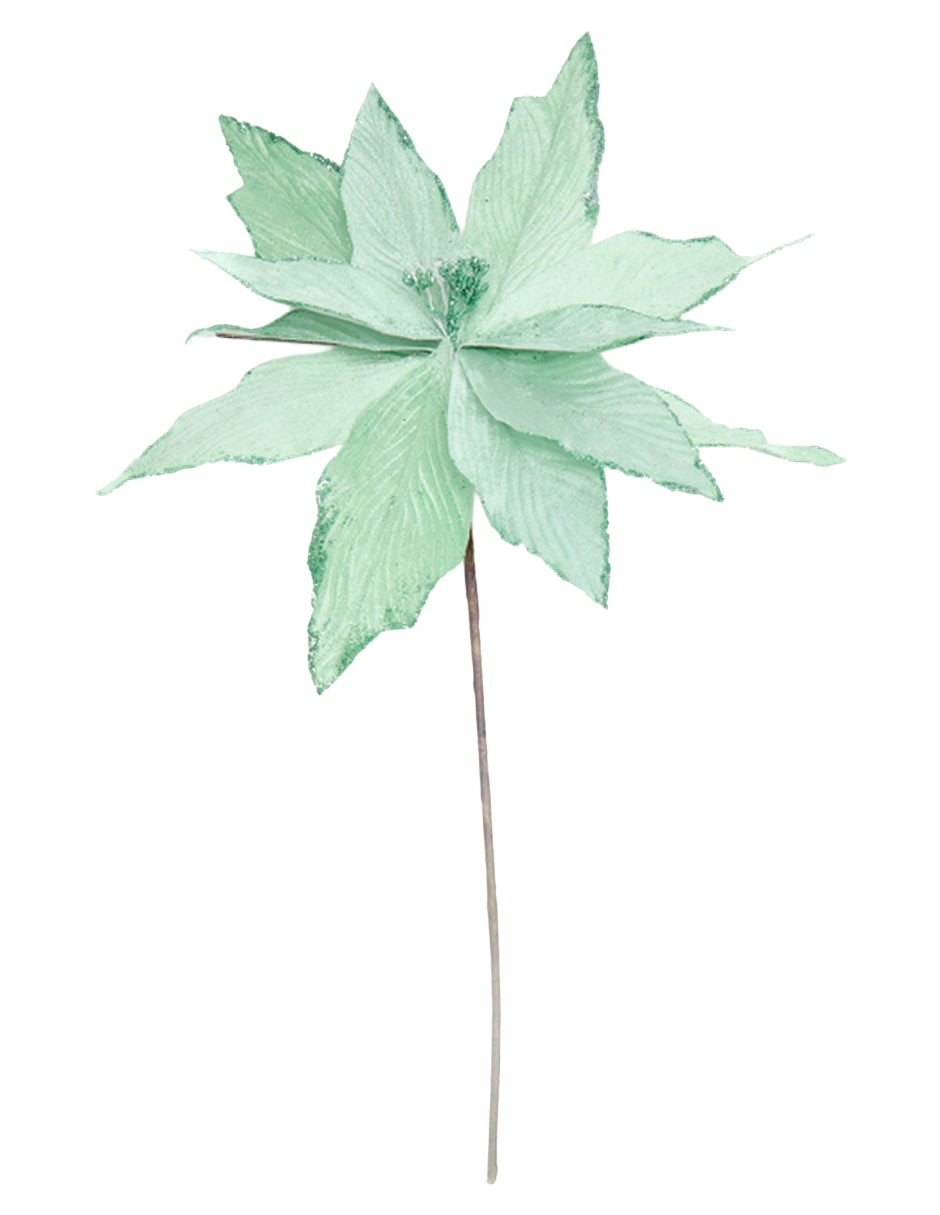 Menta 4